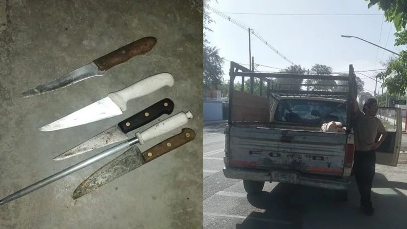 Detienen a cinco personas por transportar carne de caballos&nbsp;faenados