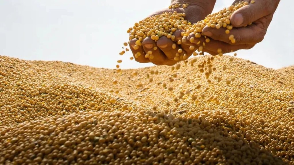 Agosto trajo buenas noticias para la liquidación de divisas con el repunte en las ventas de&nbsp;soja