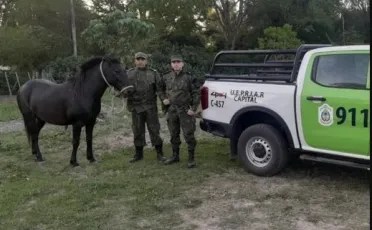 En Corrientes, la Policía recuperó el caballo de una&nbsp;niña