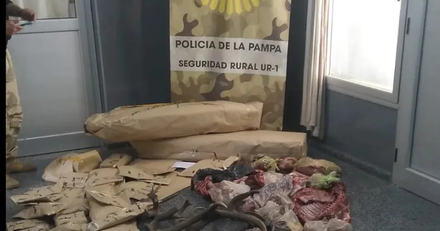 Robo de ganado entre Winifreda y Santa Rosa: faenaron 3 vaquillonas Aberdeen&nbsp;Angus