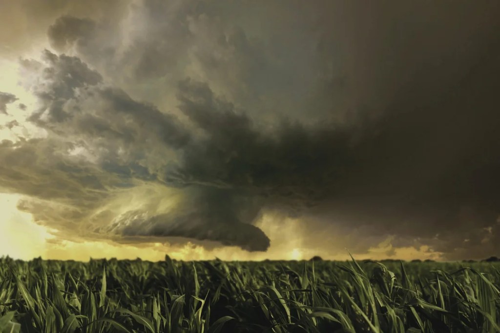 Las lluvias del fin de semana resultaron insuficientes en la región&nbsp;núcleo