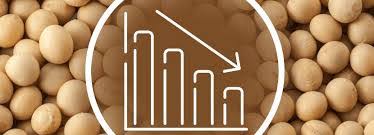 El precio de la soja cayó $5000 en Rosario y se cerraron acuerdos para enero a US$ 324: razones de la baja en&nbsp;Chicago