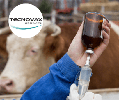 La vacuna antiaftosa importada por Tecnovax fue duramente criticada: “El estatus sanitario del país está en&nbsp;riesgo”