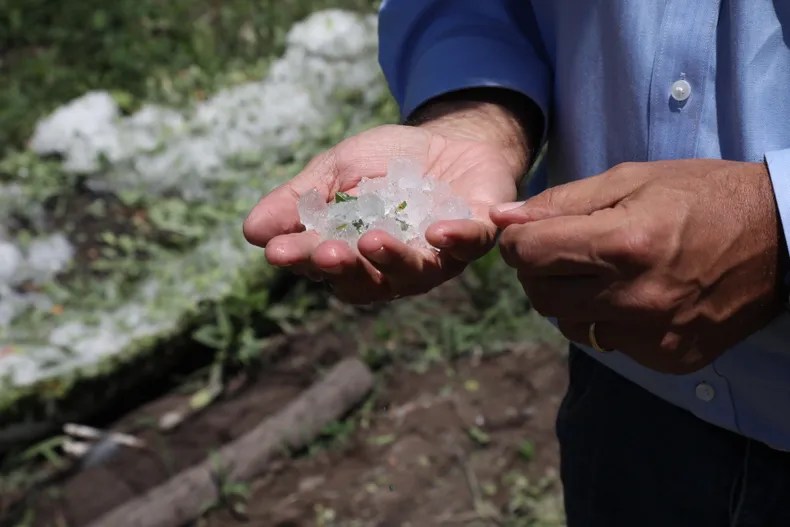 Mendoza: granizo arrasa cultivos en San&nbsp;Carlos