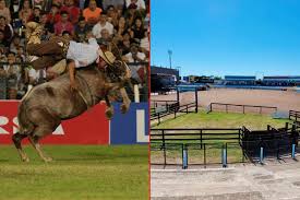 Jesús María: un Festival de Doma más seguro con cambios en la&nbsp;pista